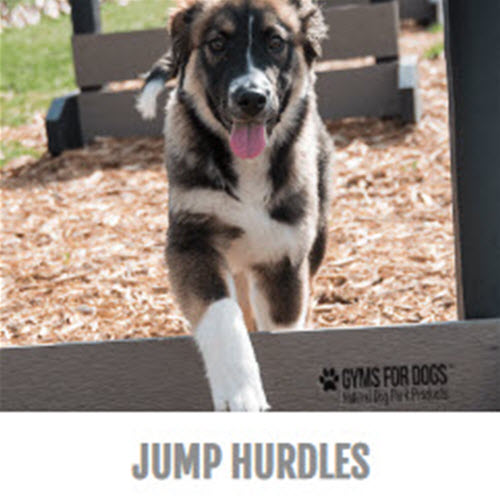 CAD Drawings BIM Models Gyms For Dogs Jump Hurdles